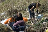 paljasaare_teeme2008 106